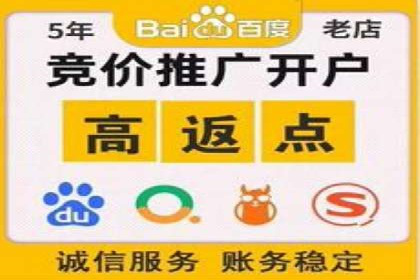SEM投放案例：优化广告投放策略